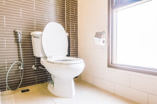 Should You Replace or Repair Your Toilet?