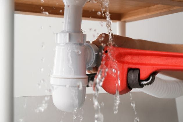 What Plumbing Services Do Most Homes Need Every Year